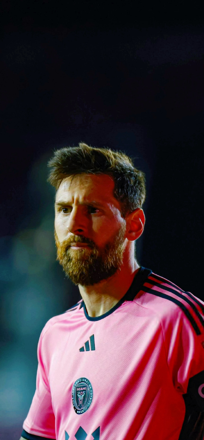 回顾郑洁的 回顾郑洁的